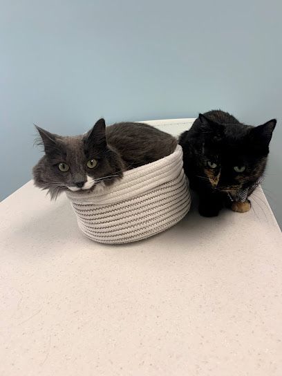 Hometown Veterinary Hospital in Fredericton, NB