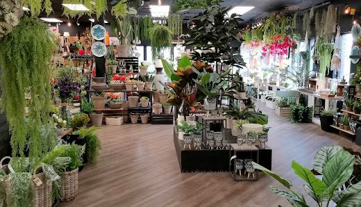 Paradis jardin & accessoires