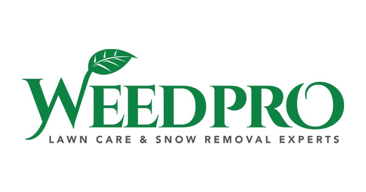 Lawn Care Regina