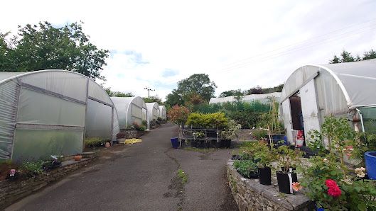 Tartendown Nurseries