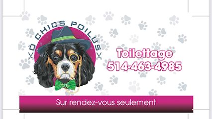 toilettage O chics poilus