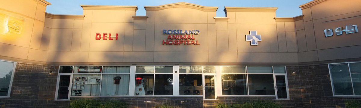 Rosslandvet
