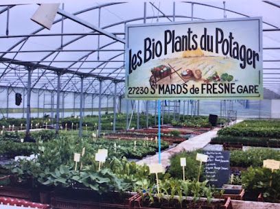 Plants potager & aromatique 100% bio