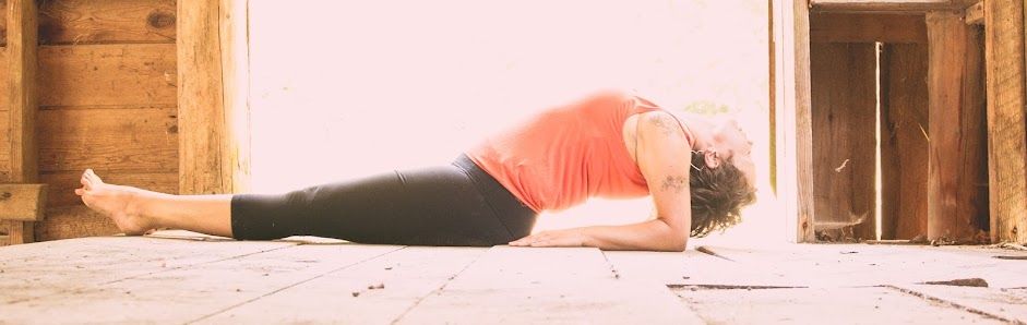Heron's Nest Yoga