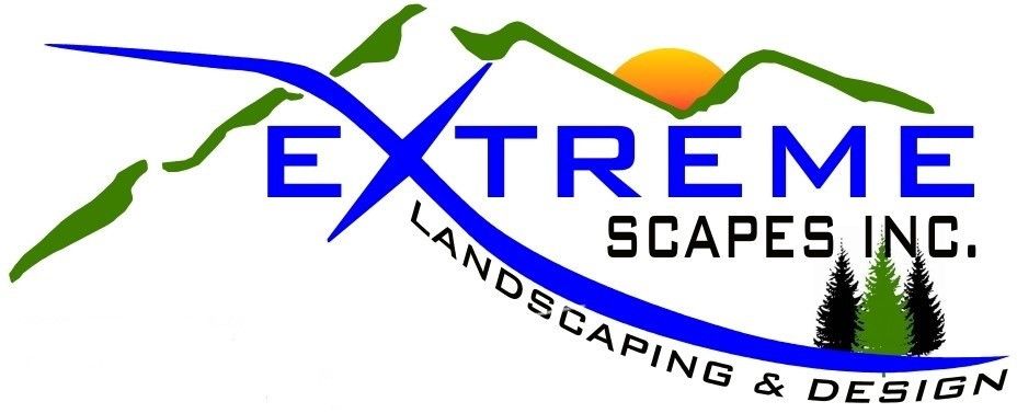 Extreme Scapes