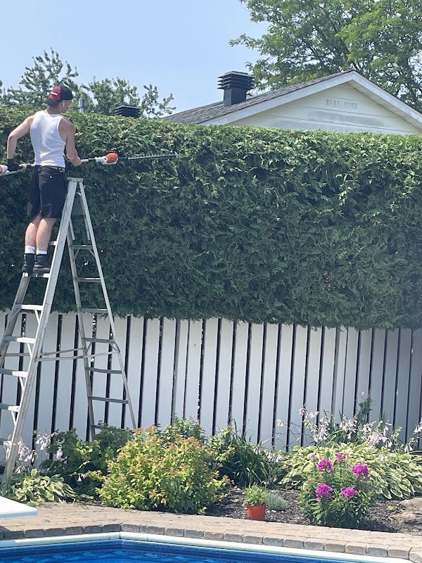 AJ Trimming