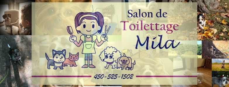 Toilettagemila