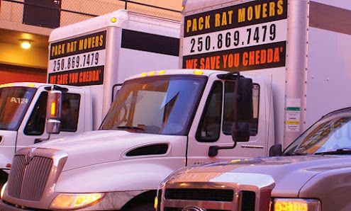 Packrat Movers