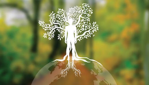 Soins énergétiques et holistiques, Naturopathie et Thérapie