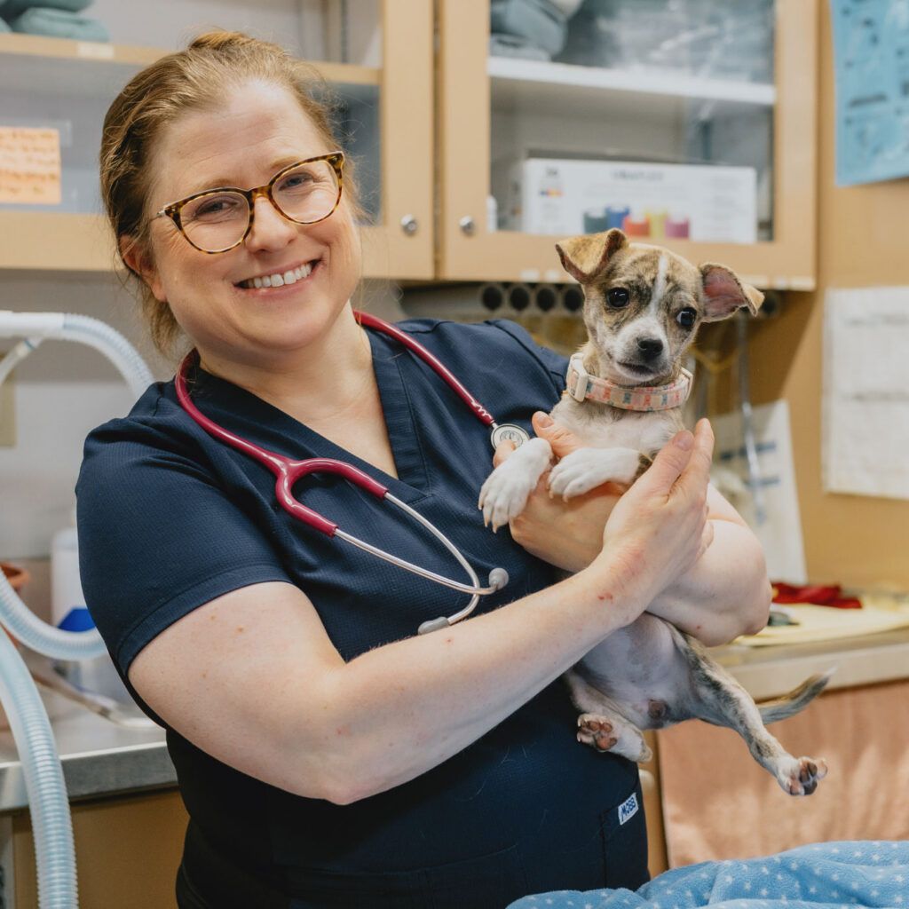 Greater Sudbury Veterinary Clinic Booking Page