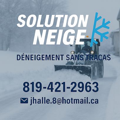 Solution neige