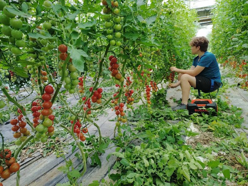 Jardins Pleines Saveurs