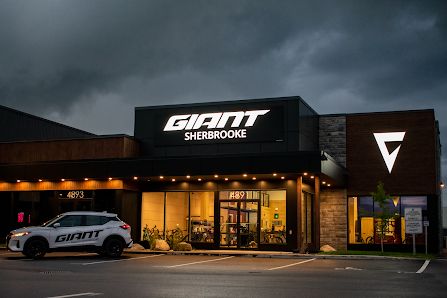 Giant Sherbrooke