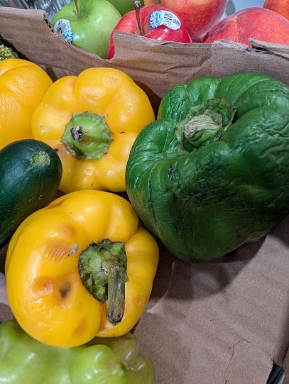 Hermas Fruits