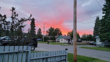 1 dead after plane makes emergency landing on Prince George road