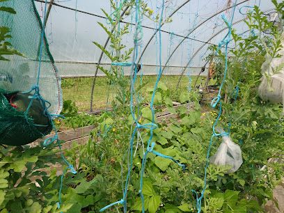NB Community Harvest Gardens