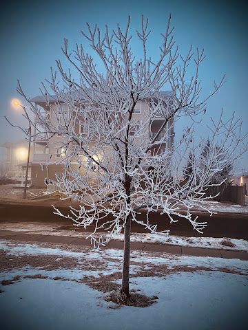 Stonyplain