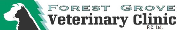 Top Rated Saskatoon Veterinarian
