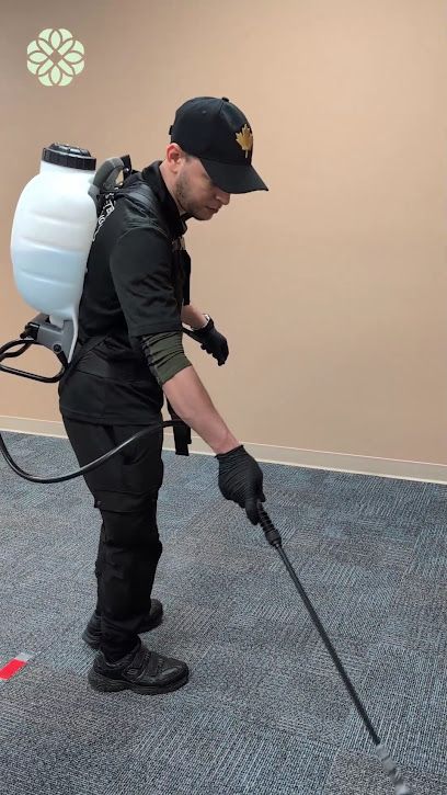 Cleaning Services Langley ✔️ Brighter Cleaning Services