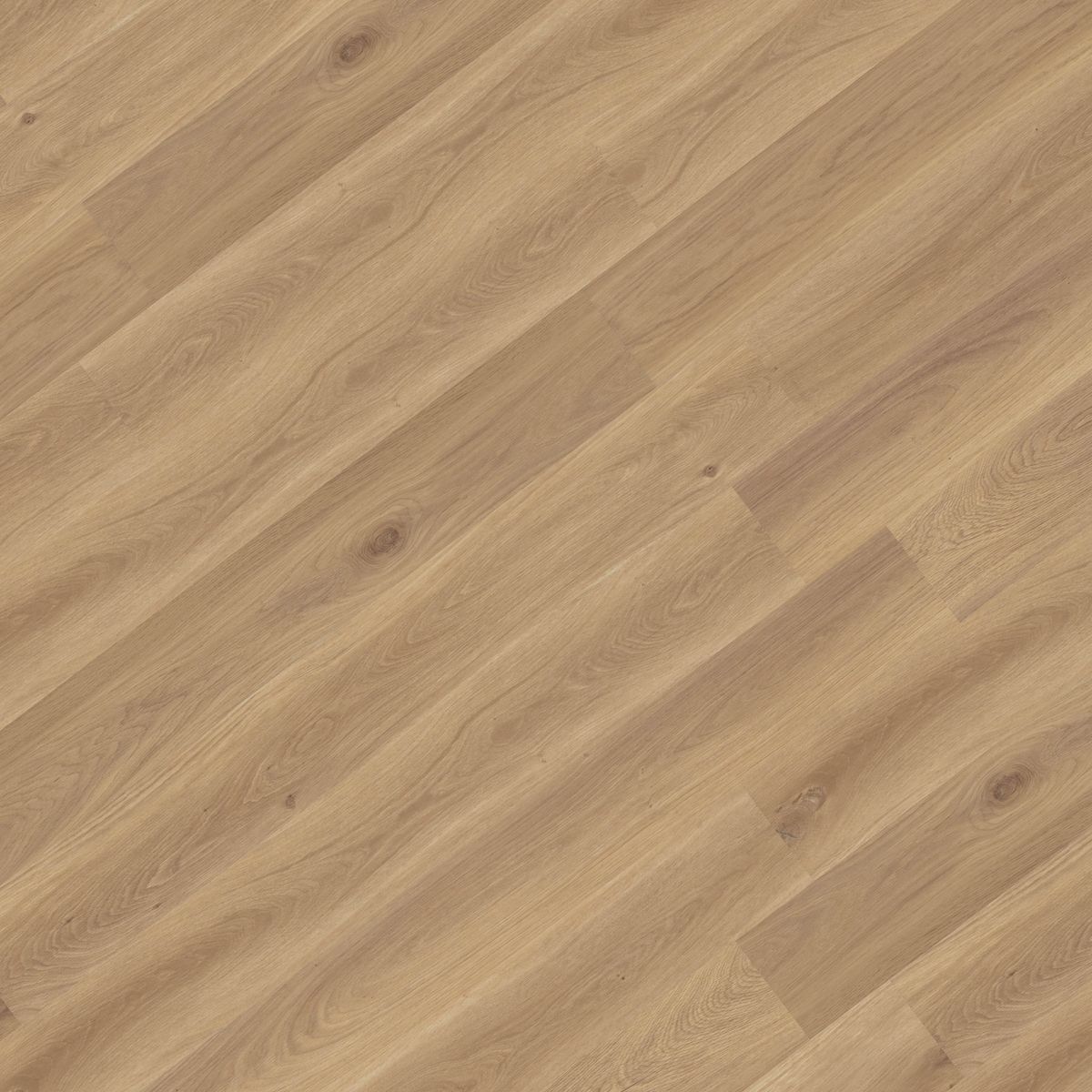 Sapwood Organic Luxury Vinyl Plank Flooring