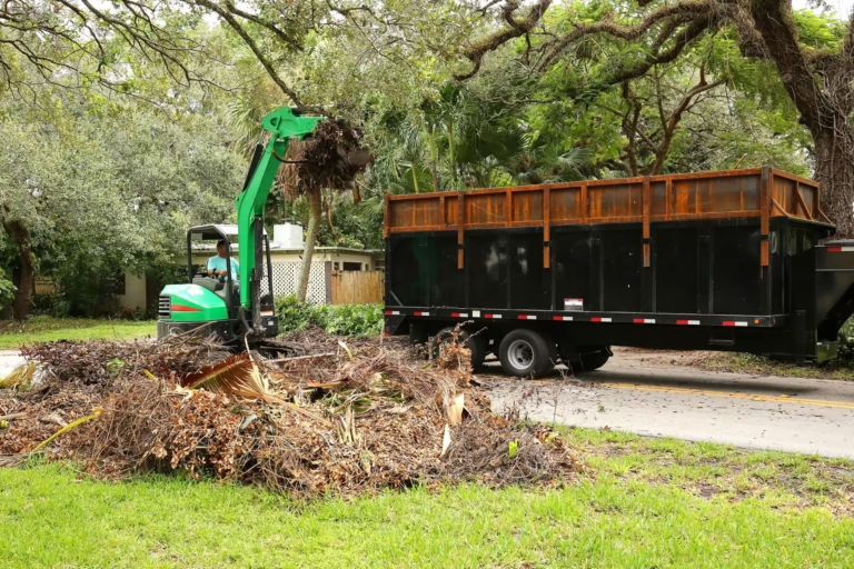 Land Clearing Brandon