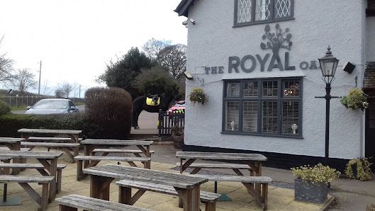 Theroyaloakbrandon