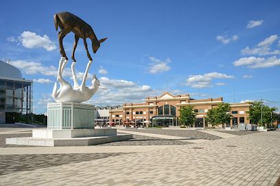 Exposition