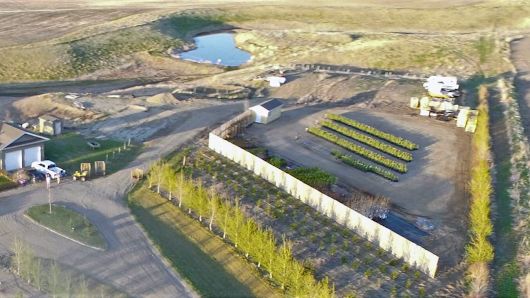 Saskatchewan's Shelterbelt Specialist
– Swift Tree Centre