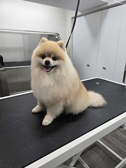 Kamloopsdoggroomingandspa