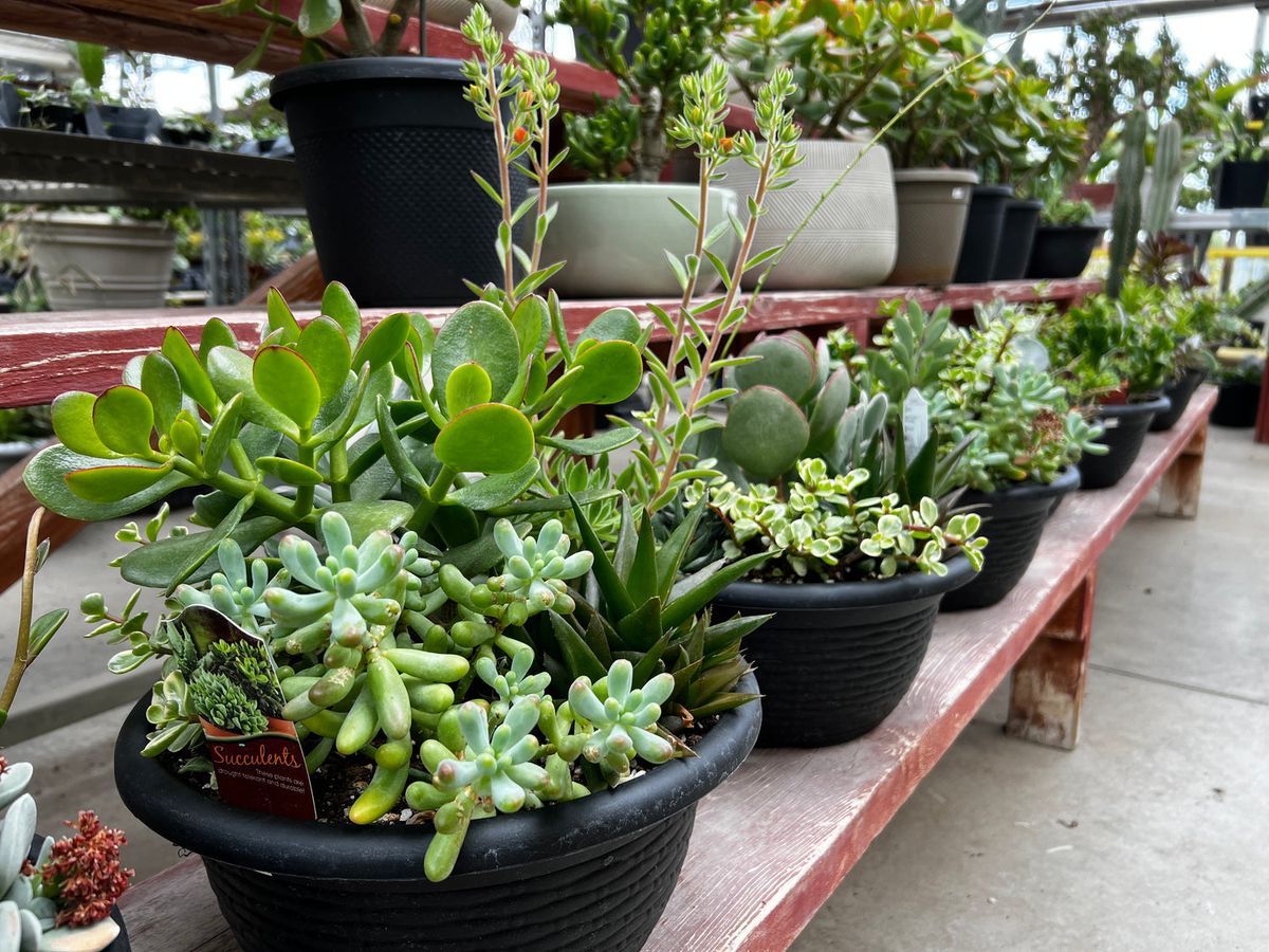 Jade Gardens and Greenhouses