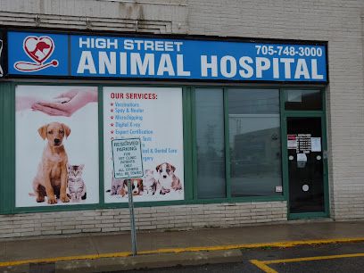 High Street Animal Hospital