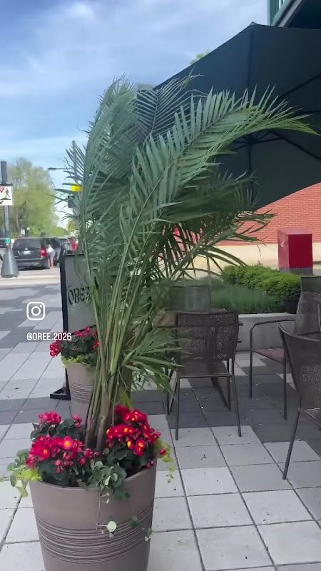 Café ORÉE Pâtisserie