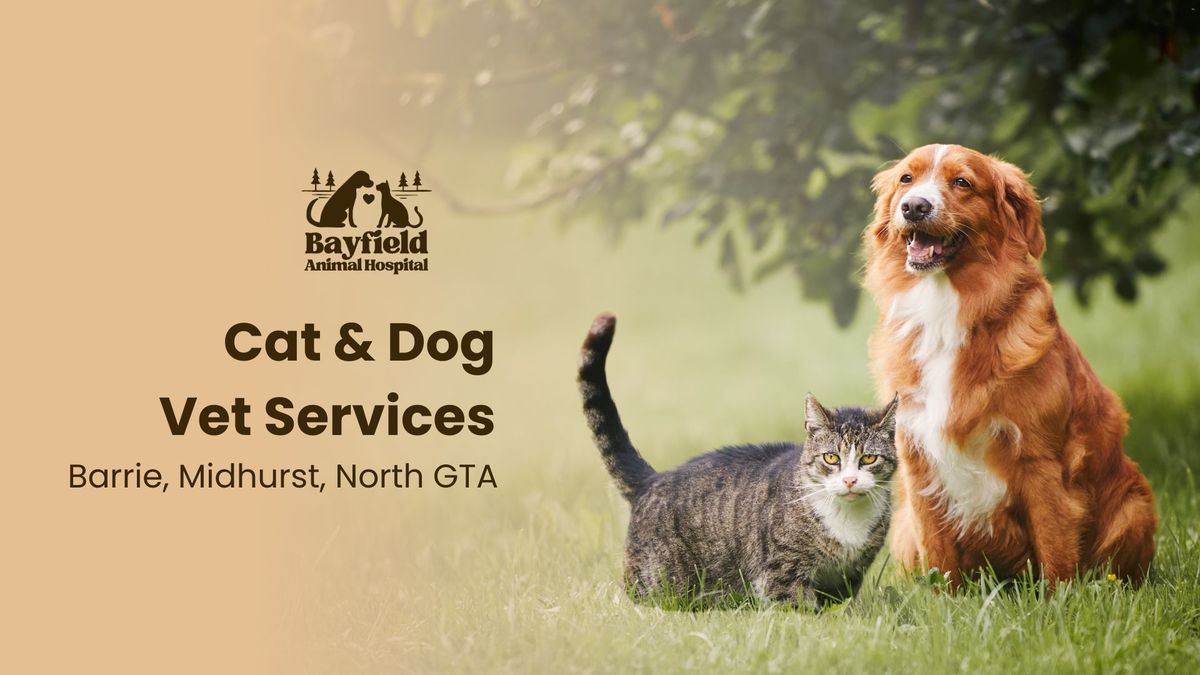 Veterinarian Barrie