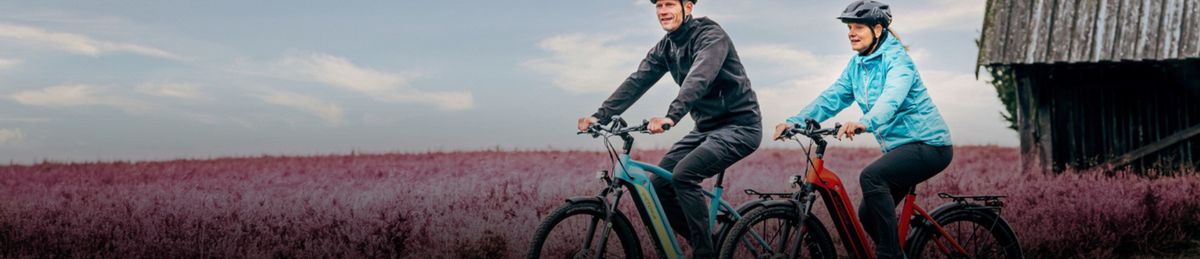 Vélos électriques Victoria • Vélozen