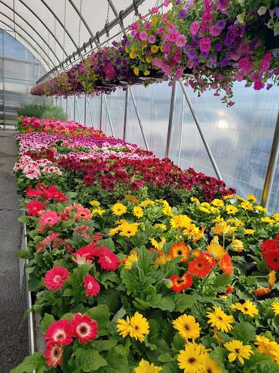 Niagarafloweroutlet