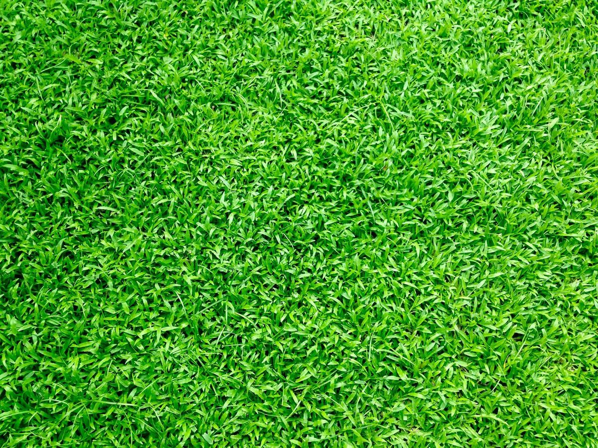 Fantasygardencenters