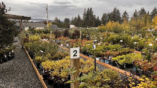 Green Thumb Nurseries