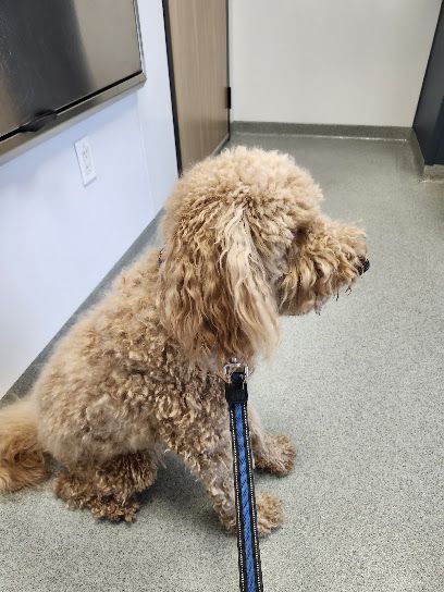 Anderson Vet Clinic In Penticton, BC