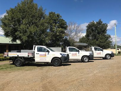 Fast Mould Removal Sydney (Site Assessment)