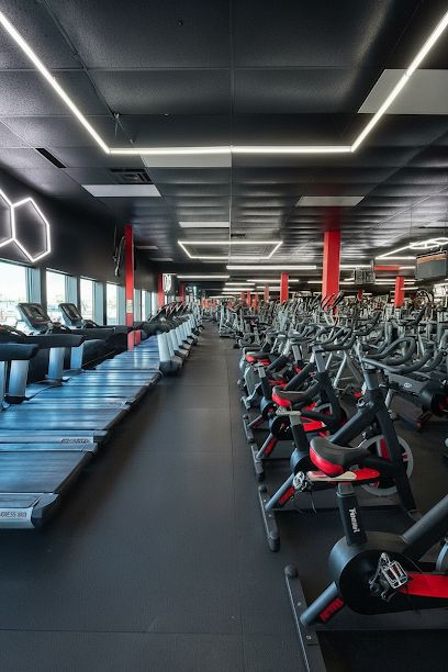 World Fitness AK Boxing