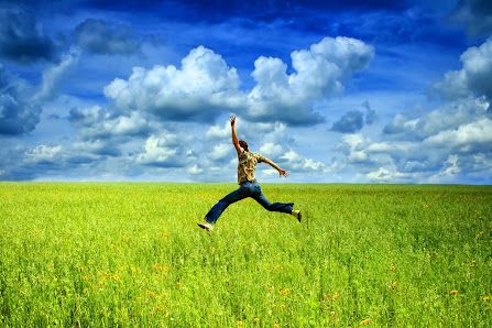 Holly Chiropractic Barrie