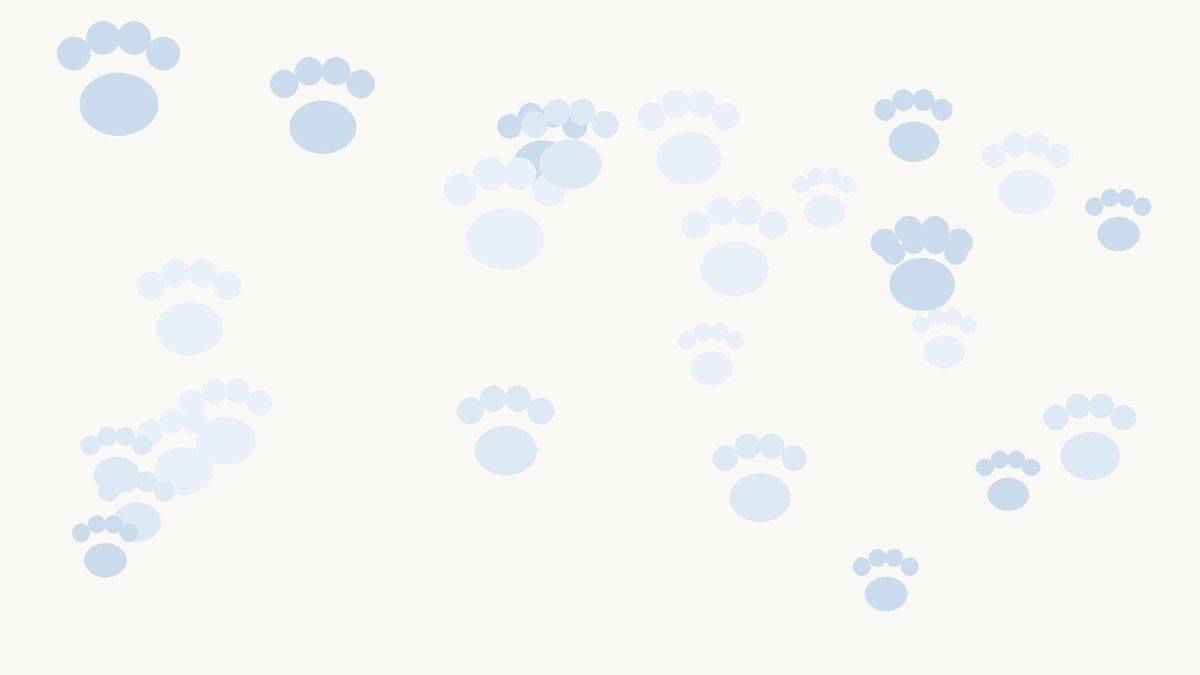 Toilettage pour chiens Sherbrooke