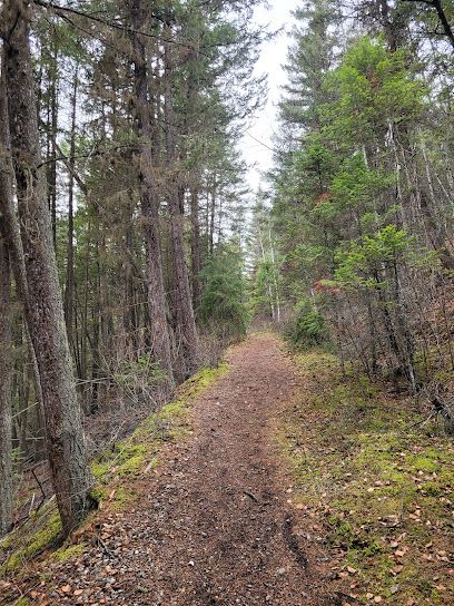 Nechako Ridge