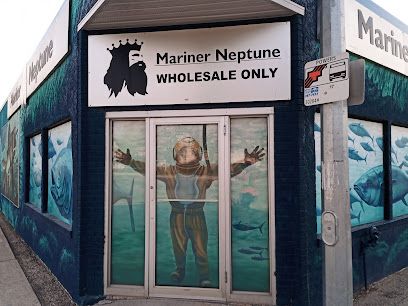 Mariner Neptune
