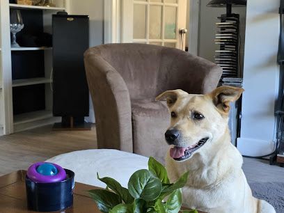 SPCA Swift Current