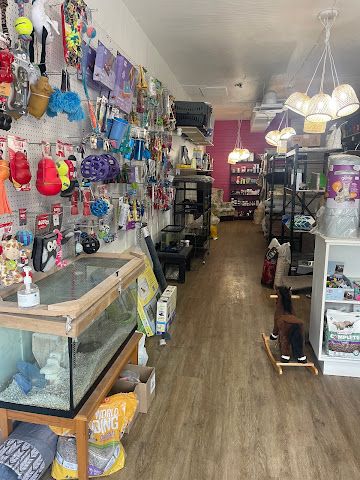 Boutique pour animaux Danielita
