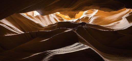 Andre Poirier Photography