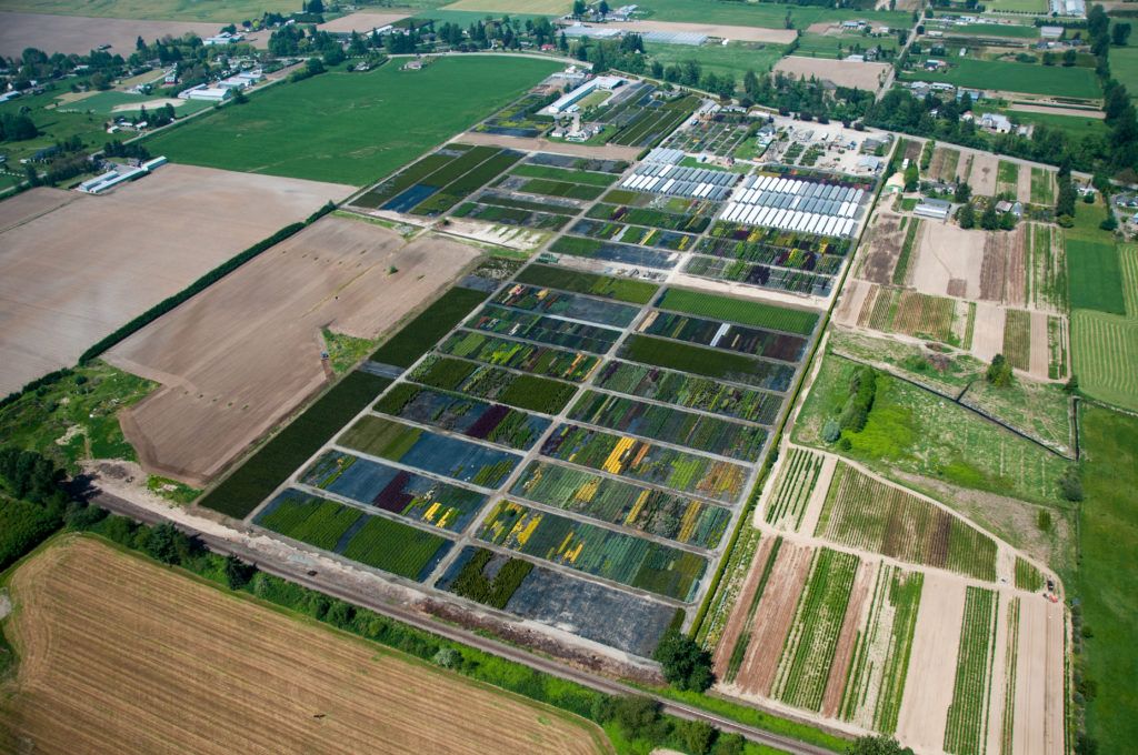Inline Nurseries