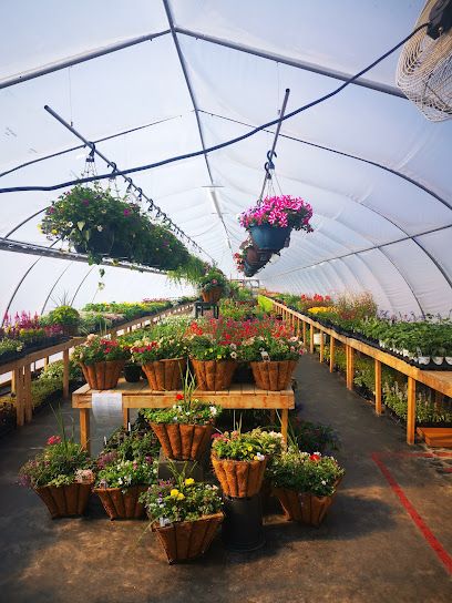 Justagirlinhergarden