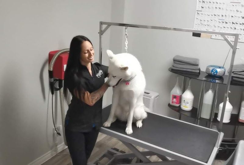 Salon Poil De Peluche Enr